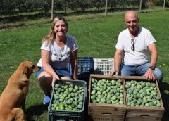 La pasión del granjero que ayudó a que los uruguayos disfruten "el sabor de la patria" en una fruta nativa