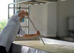 La última señal de precios que llegó desde los mercados lácteos no fue positiva