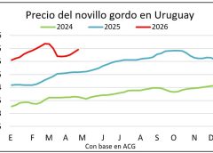 Suben los precios en el mercado de ganado gordo y hay valores históricos para los terneros