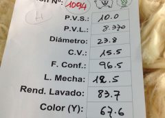 Vuela el rubro ovino: el precio de los corderos subió 40% en un año y la lana más de 70%