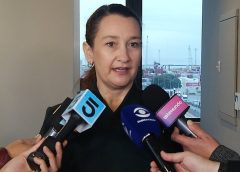 Acuerdo Mercosur-UE: vicecanciller estimó que la próxima semana podría comenzar a abrirse el mercado de carnes