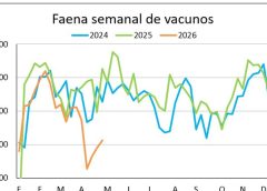Escasez de ganado gordo tranca la faena de vacunos y en el primer cuatrimestre la actividad cae casi 20%