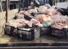 Incautaron y destruyeron ocho toneladas de carnes que se iban a vender en condiciones irregulares