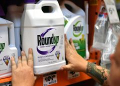 Corte Suprema de Estados Unidos falló a favor de Bayer en litigio por herbicida