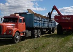 Arroceros apoyan a transportistas en su protesta por la implementación de la Guía Electrónica de Carga