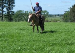 MGAP extendió los plazos de convocatorias a productores que pueden beneficiarse con tres programas