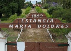 Investigadora por María Dolores: oposición reafirma denuncias, FA dice que no hubo ilicitud y para CA fue "show político"