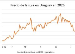 Mercado de granos impactado por las novedades en el frente de batalla