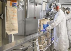 Exportaciones de lácteos superan las 100 mil toneladas y se arriman a los US$ 500 millones