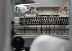 Ajuste en el precio de la lana y valores firmes por los corderos y la carne ovina de exportación