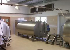 Envío de leche desde tambos a industrias creció más del 10% en cada uno de los indicadores