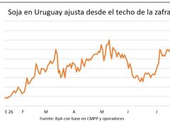Soja, maíz, trigo y colza con precios en fuerte caída tras los récords de la semana anterior